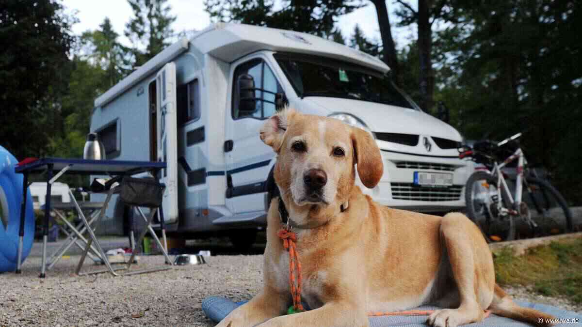 Mit Hund auf Achse: Die 10 beliebtesten Campingziele für Tierhalter in Deutschland