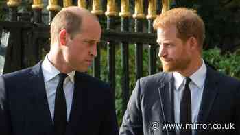 Jennie Bond: 'Prince Harry's plan to end feud will be too difficult for William to ignore'