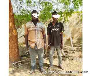 Bribe fails as Bauchi police arrest two over cattle rustling
