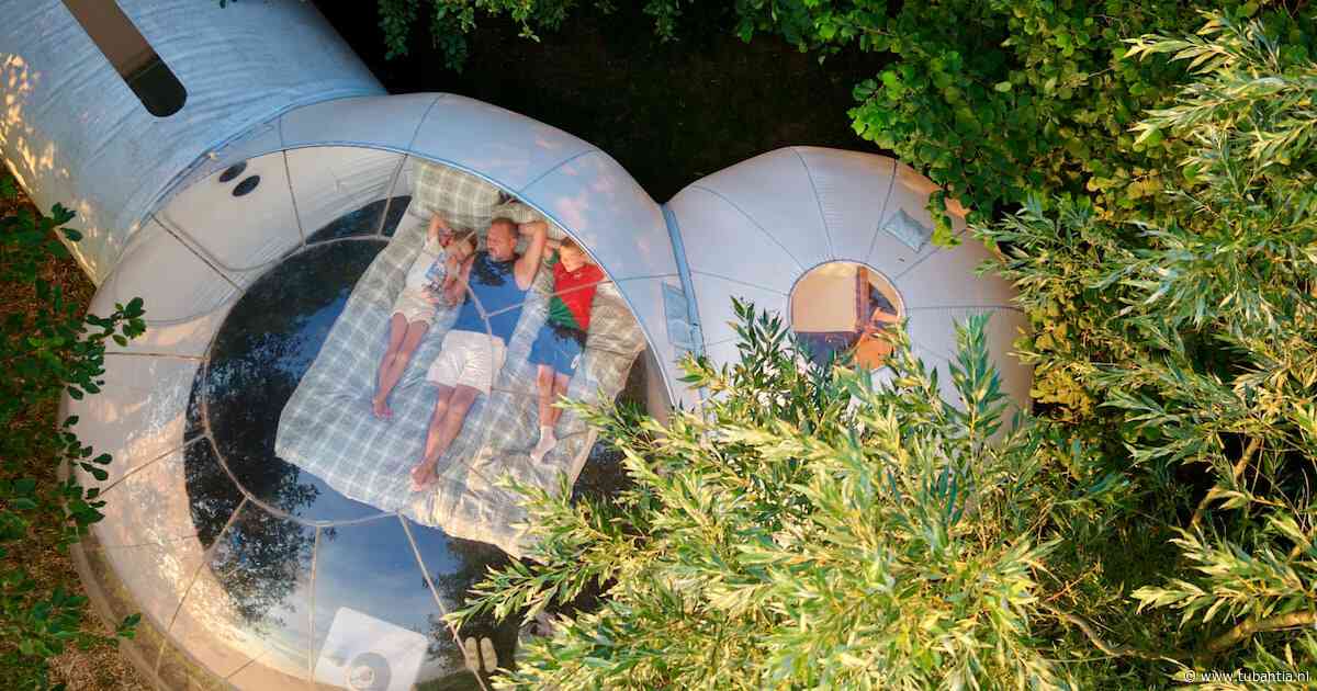 Overnachten onder de sterren in een levende Imax-bioscoop: ‘Zonde om je ogen te sluiten’