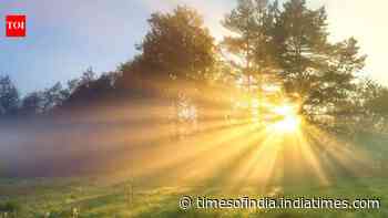 Benefits Of Morning Sunlight: Bright light after waking resets body clock