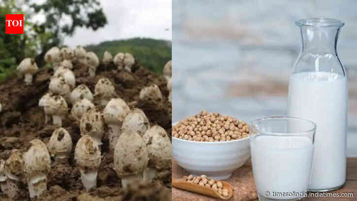7 Food items naturally rich in vitamin D to add to your diet