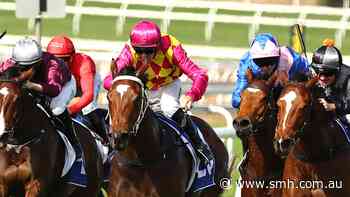 Emerging Osland mare can secure city start with another win