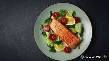 Kann zu viel Protein ungesund sein? Was eine neue Studie jetzt zeigt