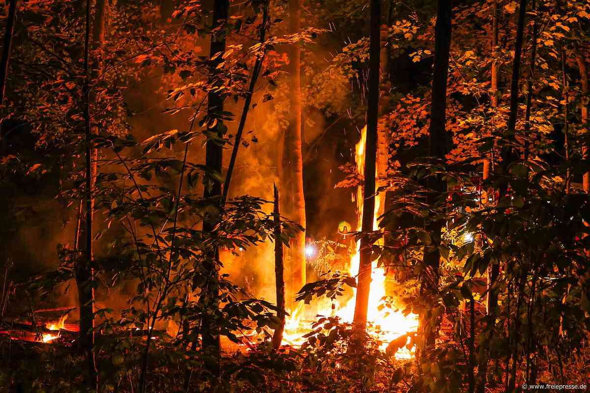 Nahe der A 4 bei Hohenstein-Ernstthal brennt ein Stück Wald