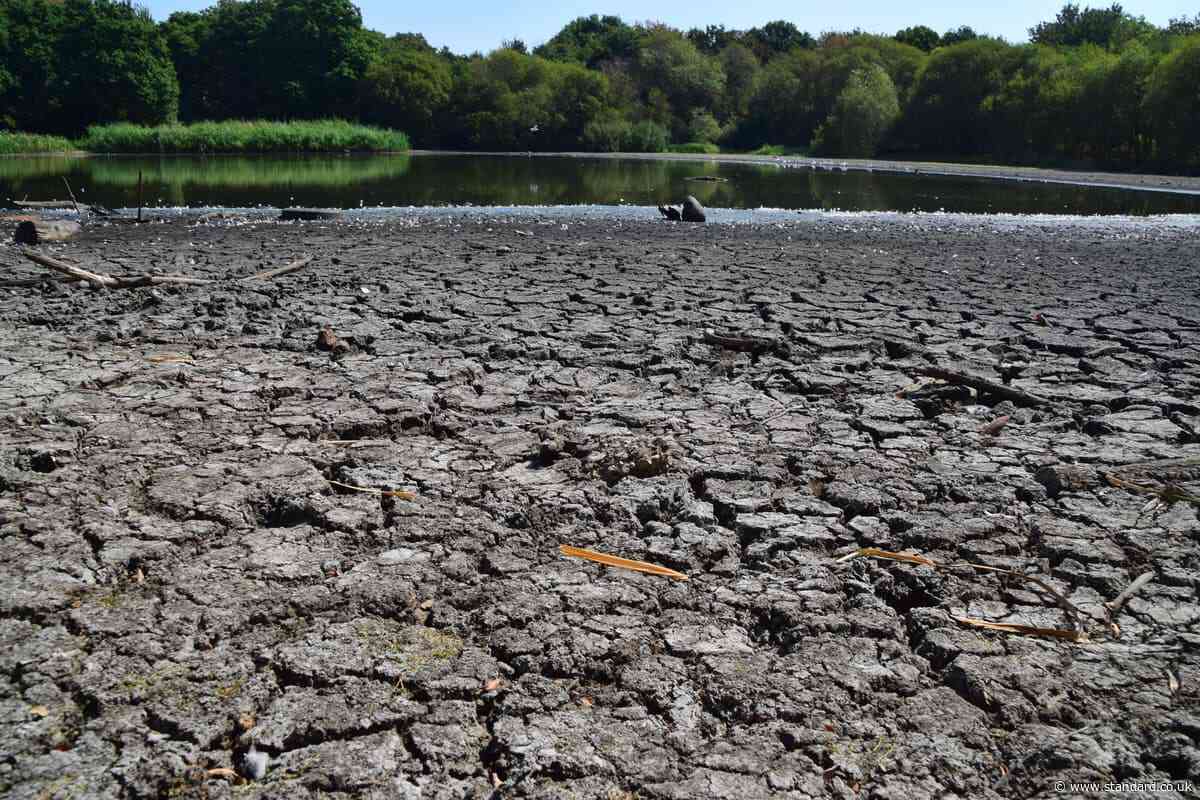 London set for days of rain at end of record hot and dry summer: Will it save capital's parched parks?