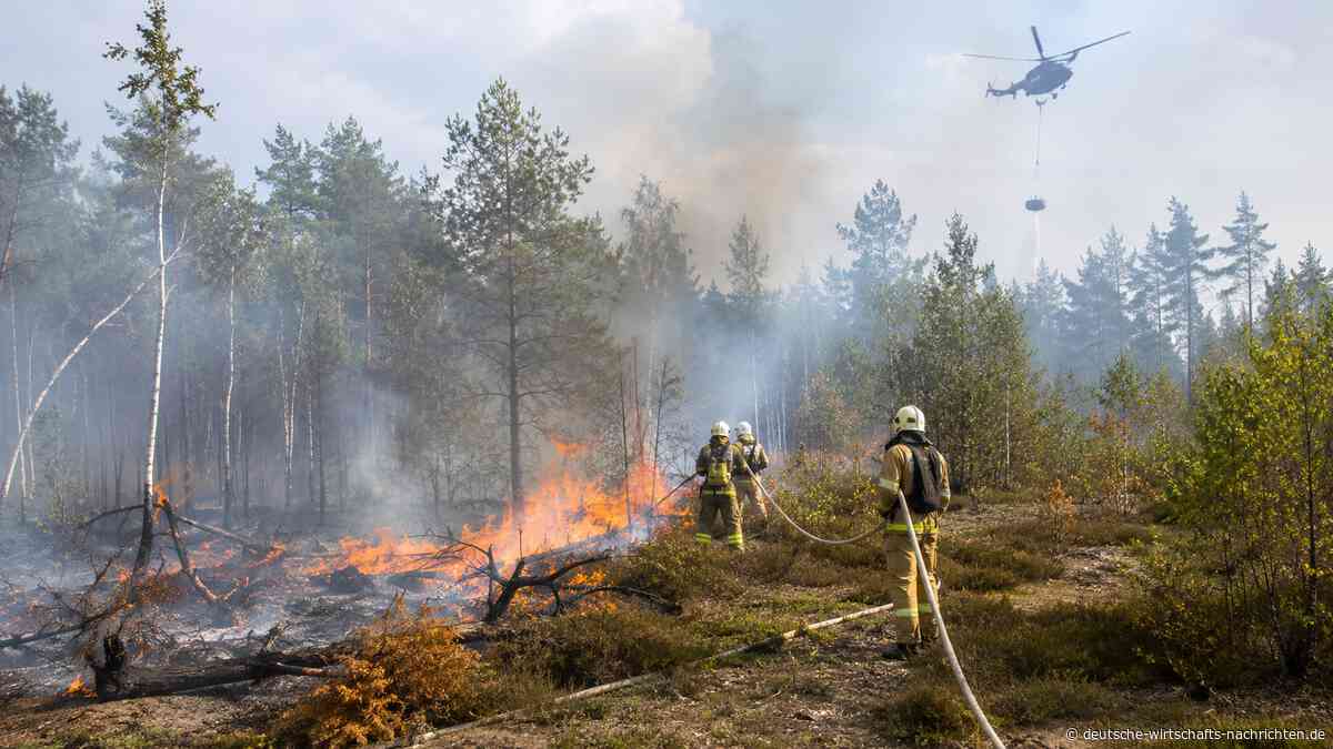 Schlecht vorbereitet bei Waldbränden? Experte sieht Lücken im System