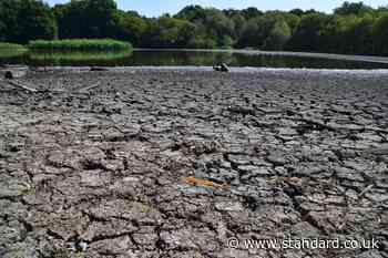 London set for days of rain at end of record summer: Will it save capital's parched parks?