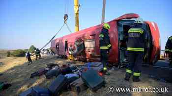 Twelve dead in Hungary tourist bus crash after driver 'fell asleep at the wheel'
