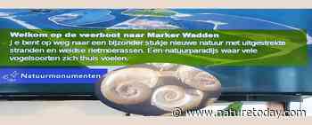Nieuwe exotische pionierslakjes op Marker Wadden
