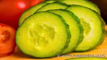 Cucumbers can stay fresh 3 weeks longer without turning mushy if stored with 1 kitchen item