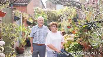 Fairfield pensioner fears she'll lose her 'pride and joy' after letter came through the post