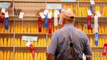 How Iowans feel about Trump's tariffs, Canada's treatment as Republicans vie for support