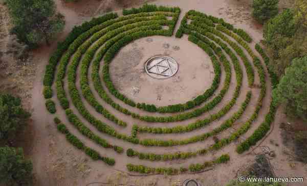 Monte Hermoso avanza en la recuperación y puesta en valor de su Laberinto Vegetal