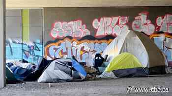 Researchers document surge in unhoused deaths in Quebec