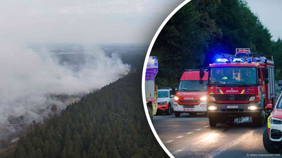 Beelden: Enorme vuurlinie trekt door de Hoge Venen in België