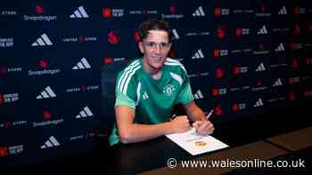 Man Utd's 'unbelievable' new signing is the unknown Welsh kid Swansea fans never saw