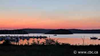 Sunrises, sunsets and sunflowers: Enjoy these photos from around New Brunswick