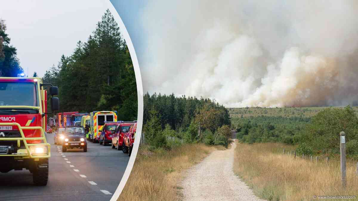 LIVE | Brand in België blijft uitbreiden: meer dan 3000 hectare in vlammen opgegaan en 600 mensen geëvacueerd 
