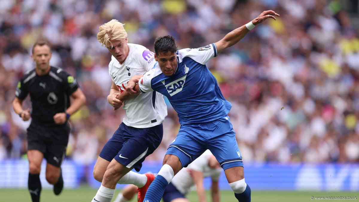 How to watch Tottenham vs Hoffenheim - TV channel, kick-off time and live stream