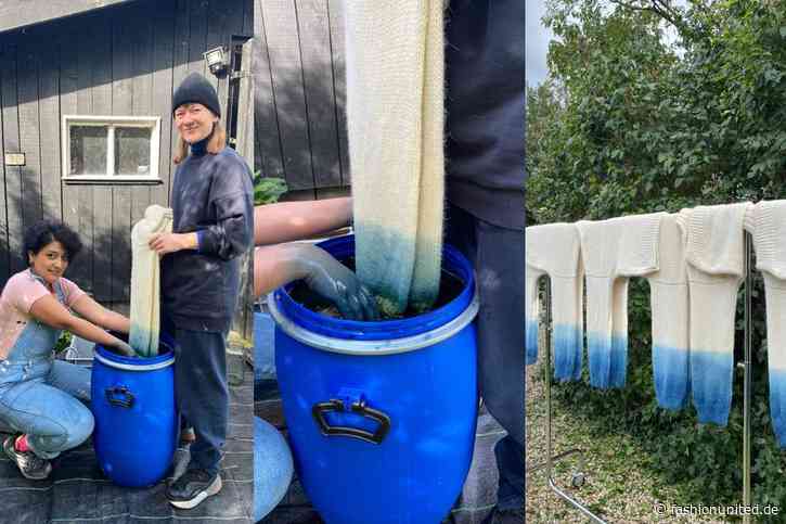 Das Wunder des Waid: Vom Samen zur Farbe