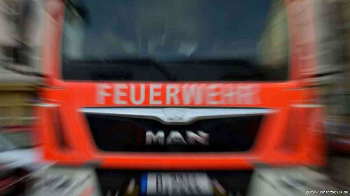 Buschfeuer in Neuötting: Hang am Bürgerwald steht in Flammen
