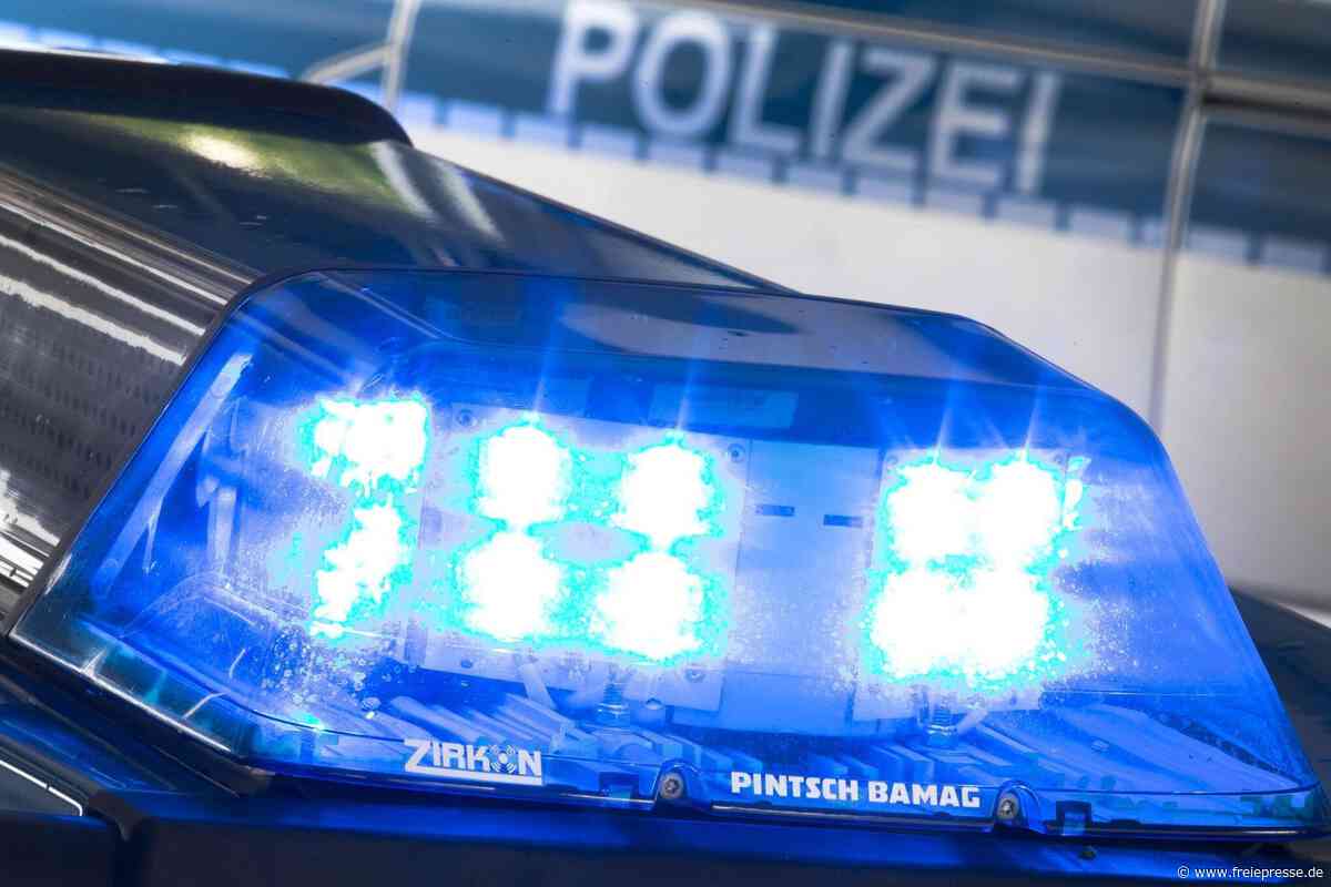 Mopedunfall in Neuhausen: Wer kann den flüchtigen Biker identifizieren?
