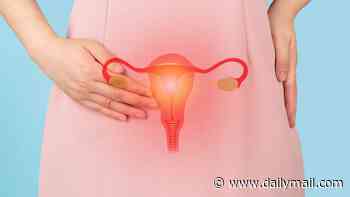 Doctors discover intriguing op can cut risk of 'hidden killer' ovarian cancer risk by 80%