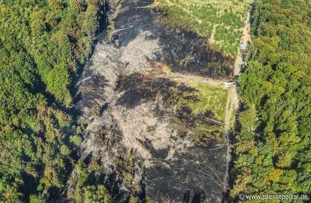 FW Kreis Soest: Waldbrand am Möhnesee - Anhaltende Löschmaßnahmen zeigen Wirkung