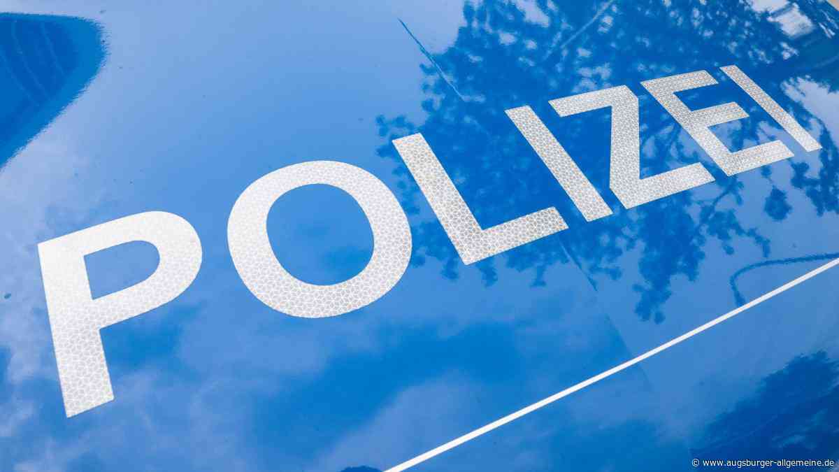 Transport gestoppt: Tierärzte finden verängstigte und apathische Hunde und Katzen