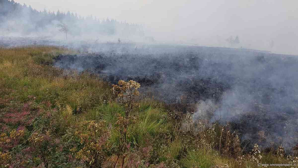 Opnieuw helpen Chinooks vanuit Gilze-Rijen om grote natuurbrand te blussen