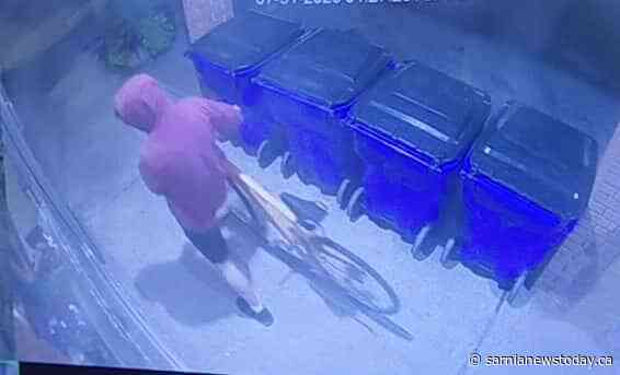 Suspect sought in Northgate Plaza break and enter