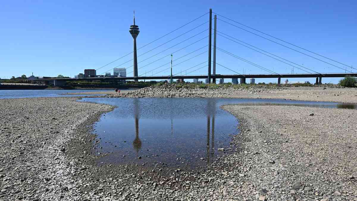 SPD-Bundesministerien legen Aktionsplan gegen Hitze vor