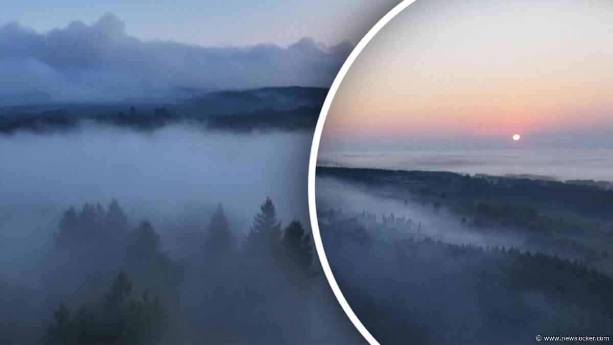 Dronebeelden: enorme omvang van recordbrand in België vanuit de lucht te zien