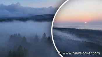 Dronebeelden: enorme omvang van recordbrand in België vanuit de lucht te zien