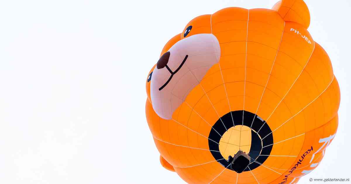 Instabiel weer: mag de populaire Kika-beer opstijgen bij Ballonfestival Grave?