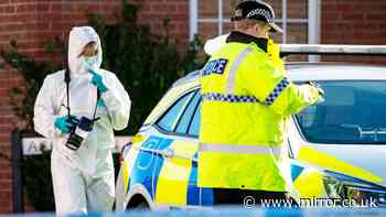 Woman in her 60s arrested for 'murder' after woman in her 90s dies in house fire