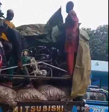 15 passengers found hidden under truck cover, driver jailed