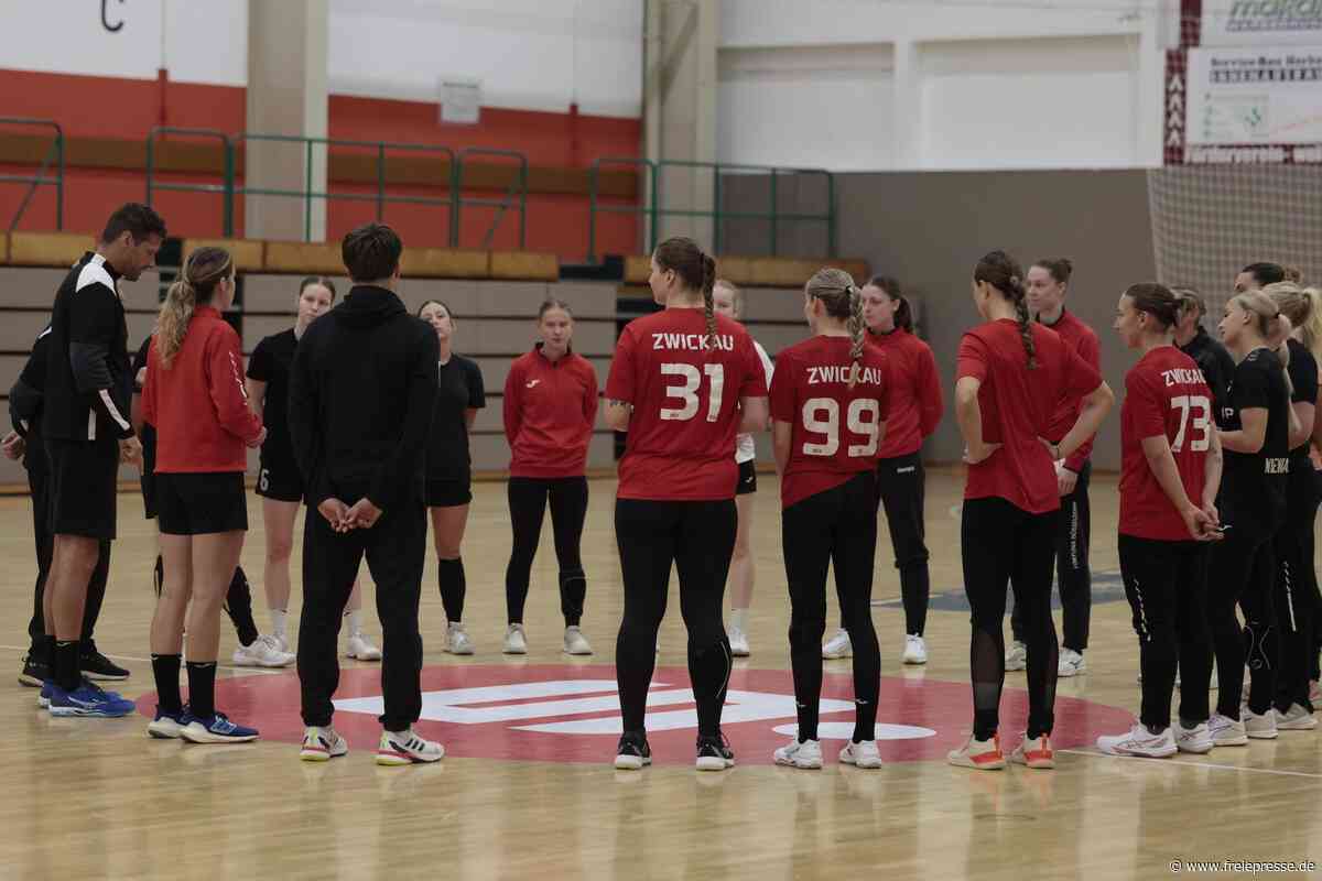 BSV Sachsen Zwickau geht beim Nelkencup phasenweise die Kraft aus