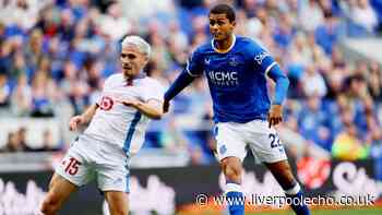 Brennan Johnson explains his big Everton ambition and David Moyes' plan for him