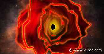 Astronomers Discover the Existence of a Black Hole Star