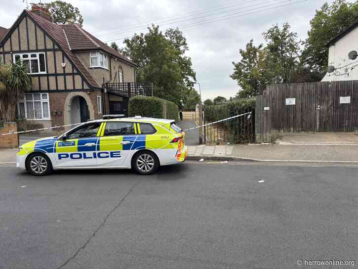 Patient rushed to major trauma centre after reported stabbing near Byron Park in Wealdstone