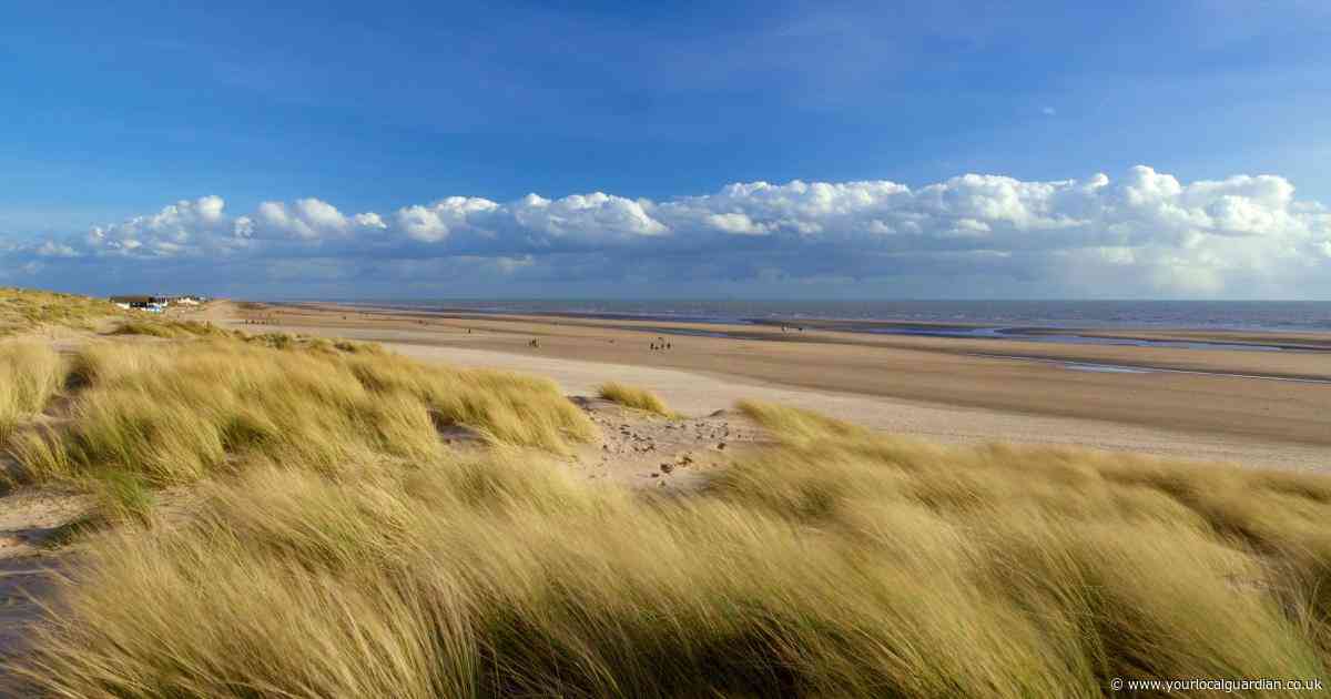 The Sussex beaches reachable from London ranked among UK's most dog-friendly to visit