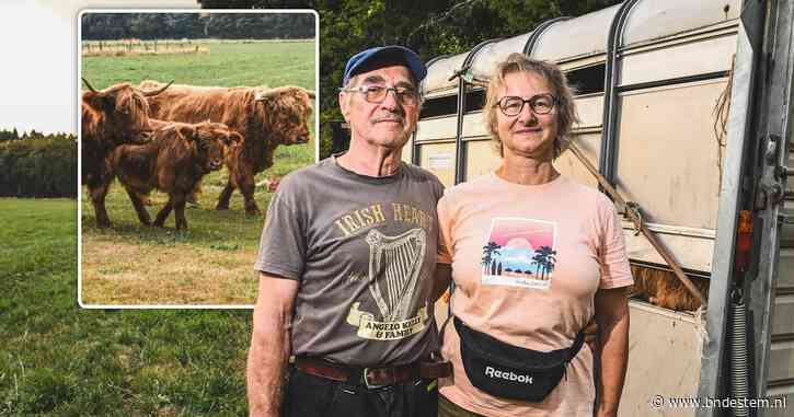 Belgisch stel ziet Schotse hooglanders ontsnappen tijdens grote natuurbrand: ‘Zonder hen evacueren we niet’