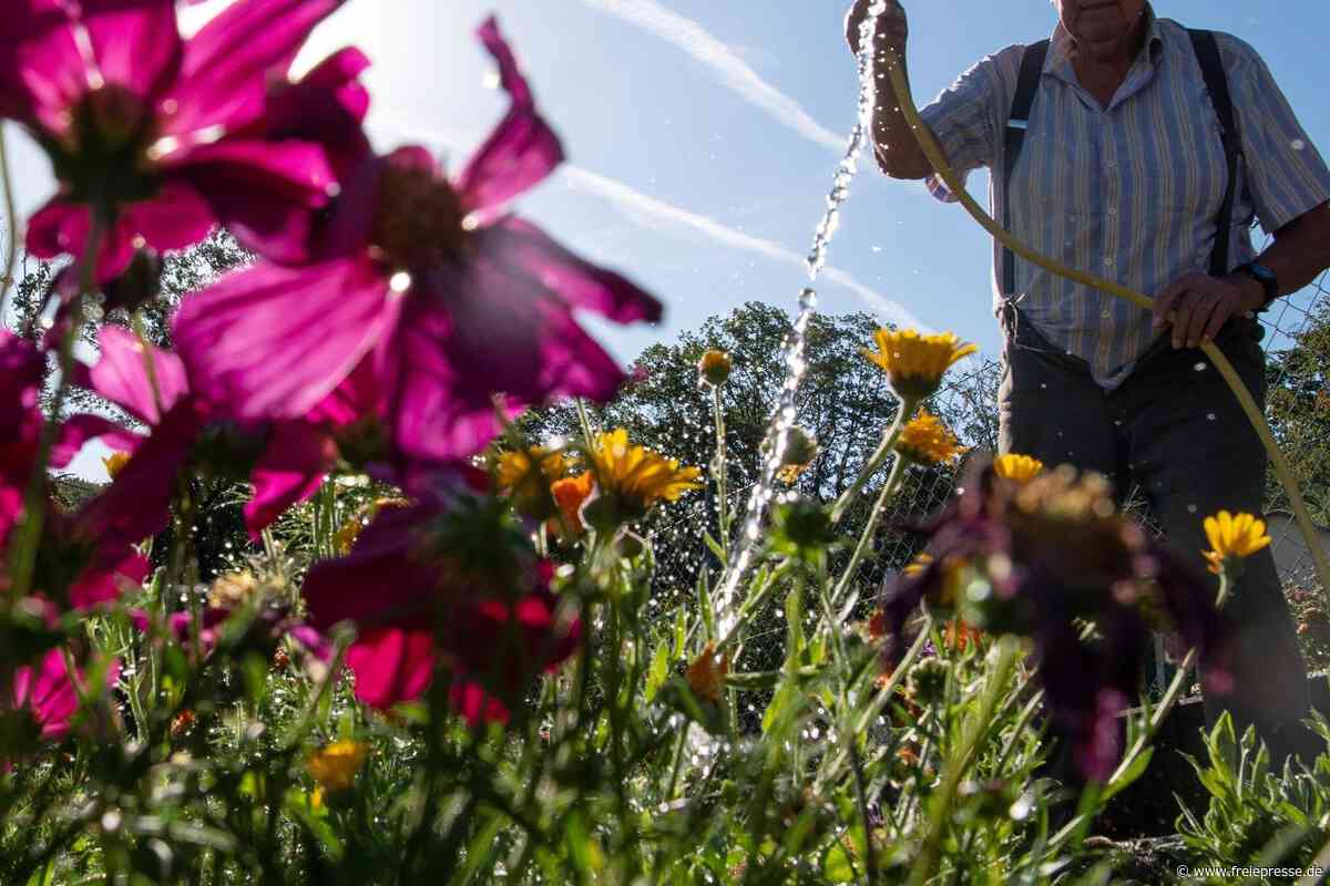 Mittelsachsen ohne Wasserpumpen: Was Bürger jetzt wissen müssen