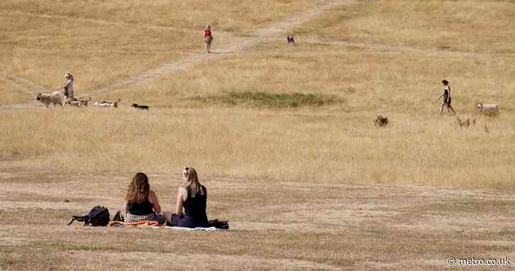 Met Office warns sixth heatwave could hit UK in a matter of weeks