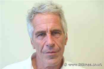 Emails Show Anthropic CEO's Wife Asked Epstein to Invest in 'Luxury Porn' Company after His Conviction