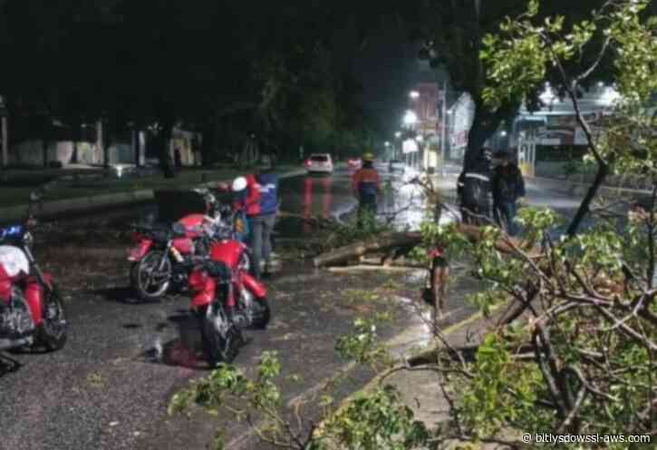Onda tropical número 37 dejó inundaciones y la caída de al menos tres árboles en Aragua