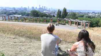 Everton Park cable car 'could be brilliant - but we have to get the basics right first'