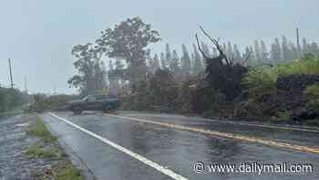 Hurricane Lala kills at least one in Hawaii as rapid moving floods sweep away homes in America's Pacific paradise